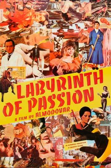 Labyrinth of Passion Poster