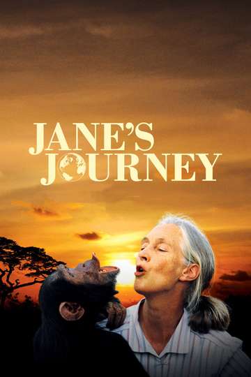 Janes Journey Poster