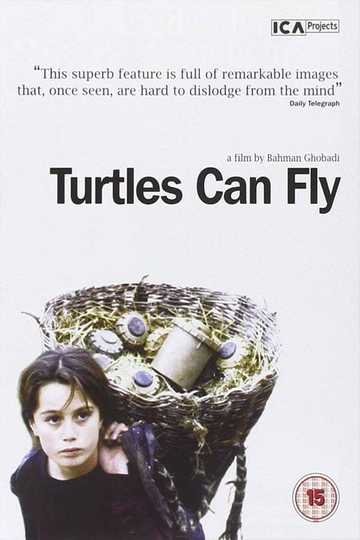 Turtles Can Fly Poster