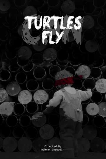 Turtles Can Fly Poster