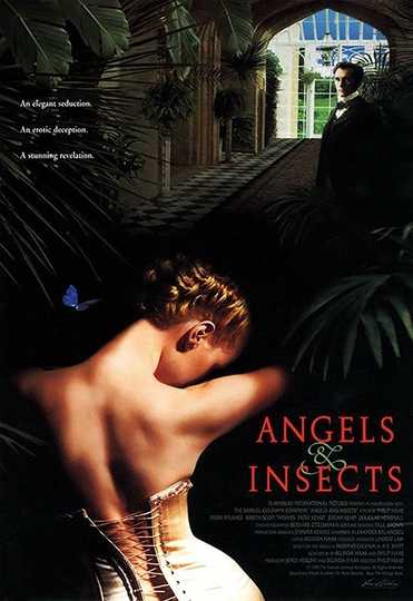 Angels and Insects Poster