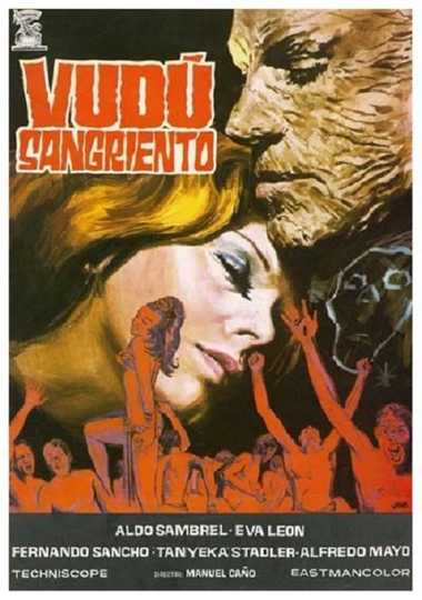 Voodoo Black Exorcist Poster