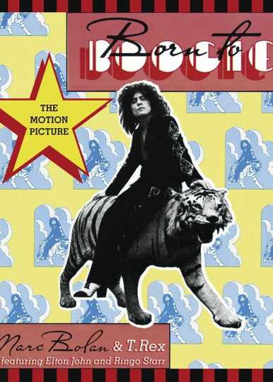 Born to Boogie Poster