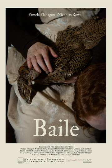 Baile Poster
