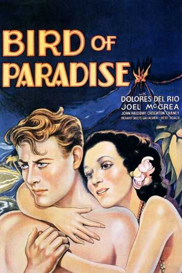 Bird of Paradise Poster