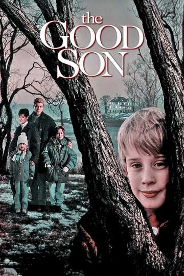 The Good Son (1993) - Movie | Moviefone