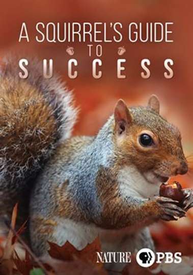 A Squirrels Guide to Success Poster