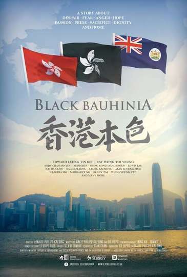 Black Bauhinia