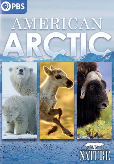 Nature: American Arctic Poster