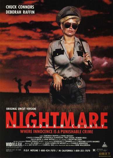 Nightmare in Badham County Poster