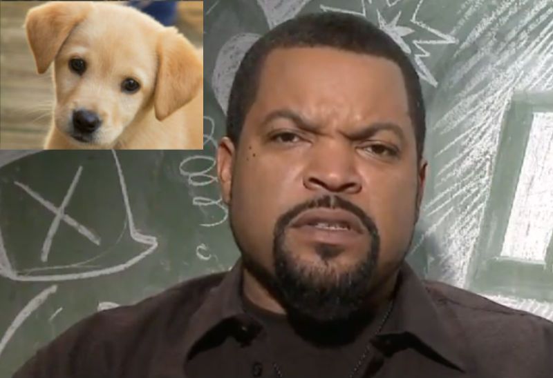 Ice Cube from Fist Fight