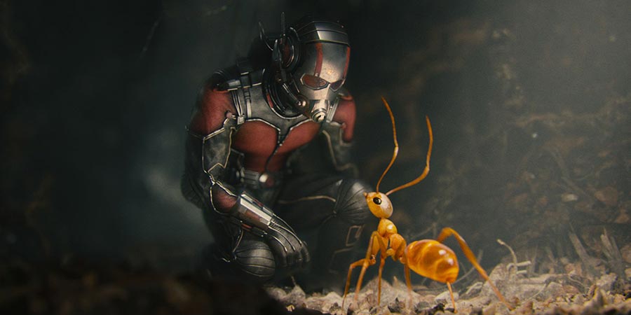 Paul Rudd in 'Ant-Man'