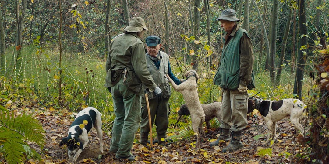 A scene from 'The Truffle Hunters'