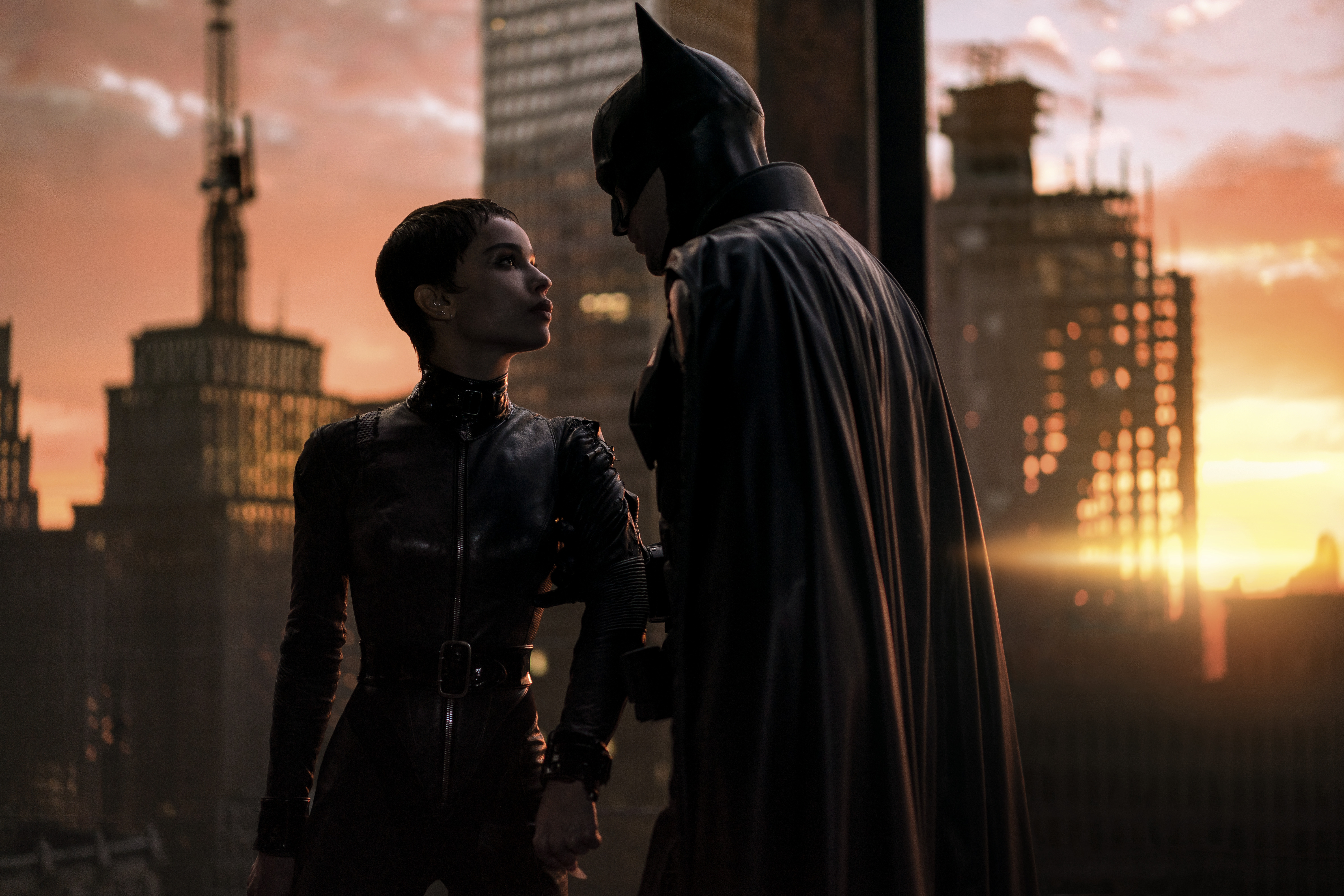 Bat and Cat
