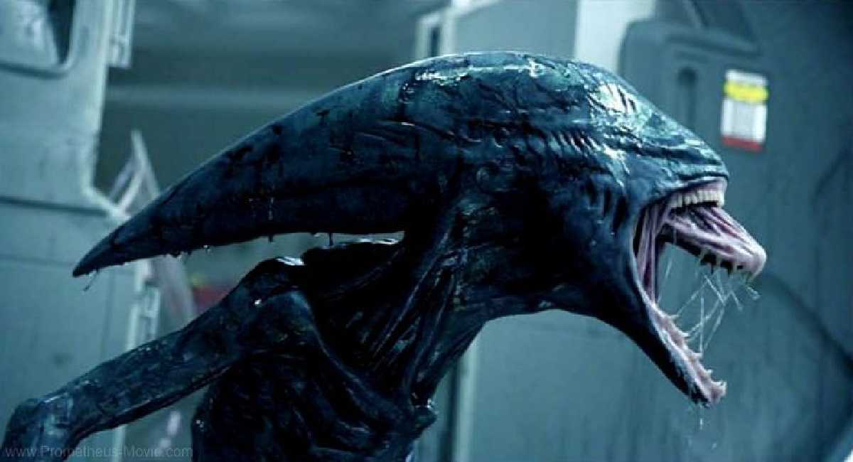 Cailee Spaeny in Talks for New Alien Movie