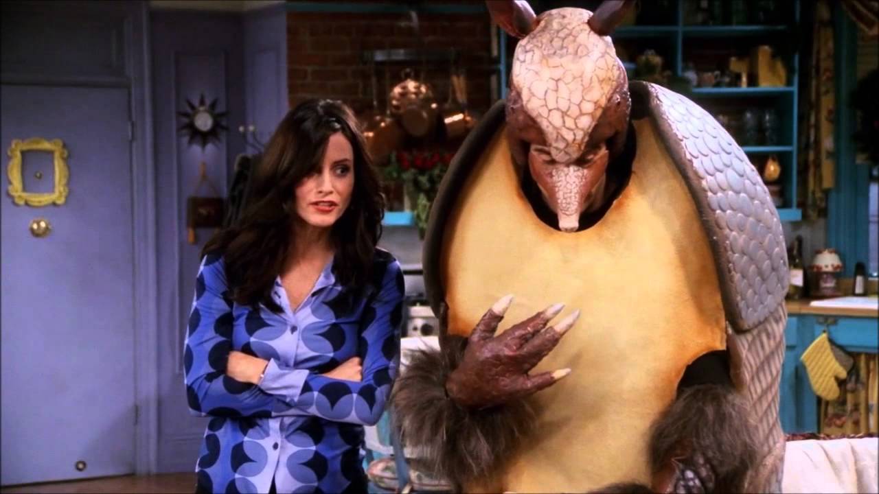 Ross is holiday armadillo