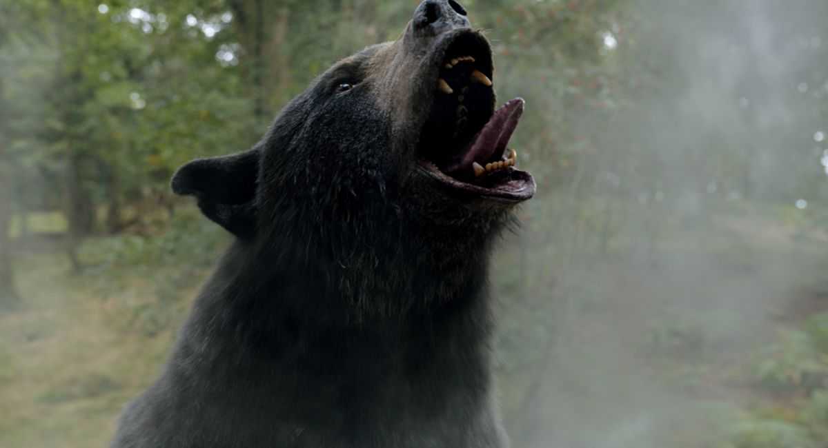 Movie Review: ‘Cocaine Bear’