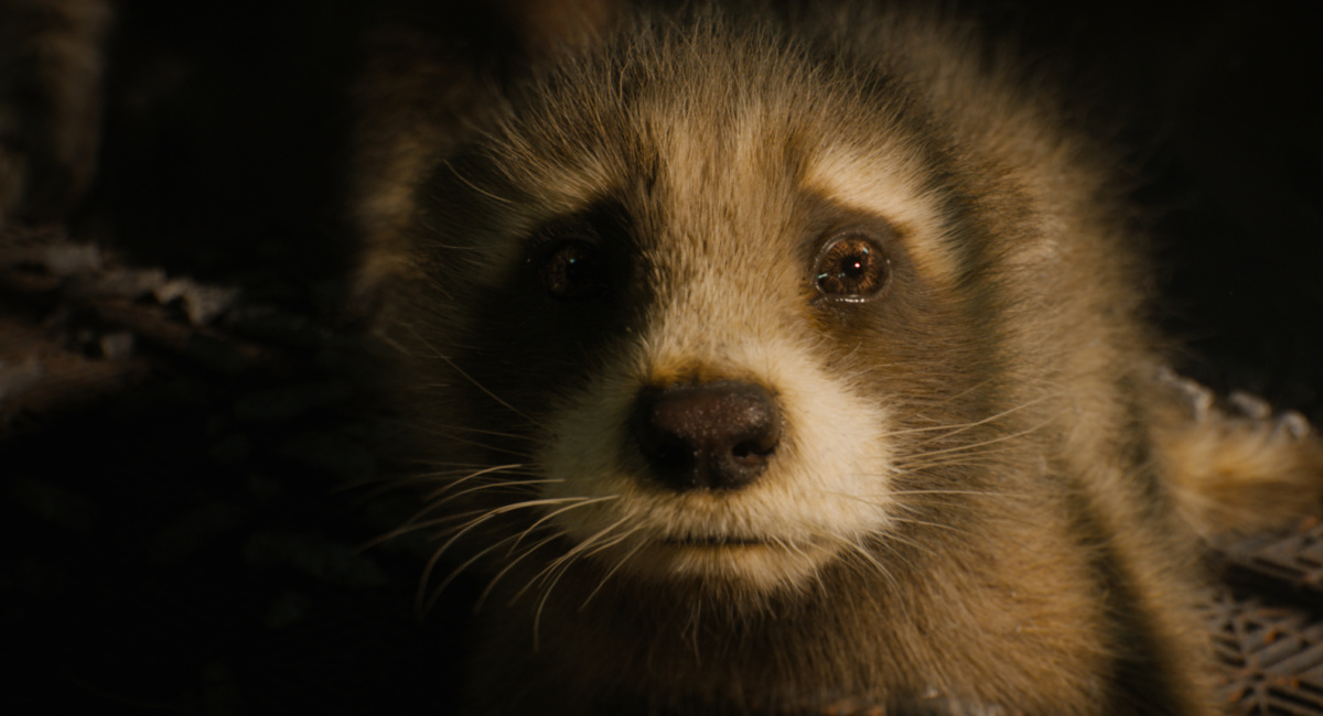 Baby Rocket (voiced by Bradley Cooper) in Marvel Studios' 'Guardians of the Galaxy Vol. 3.'