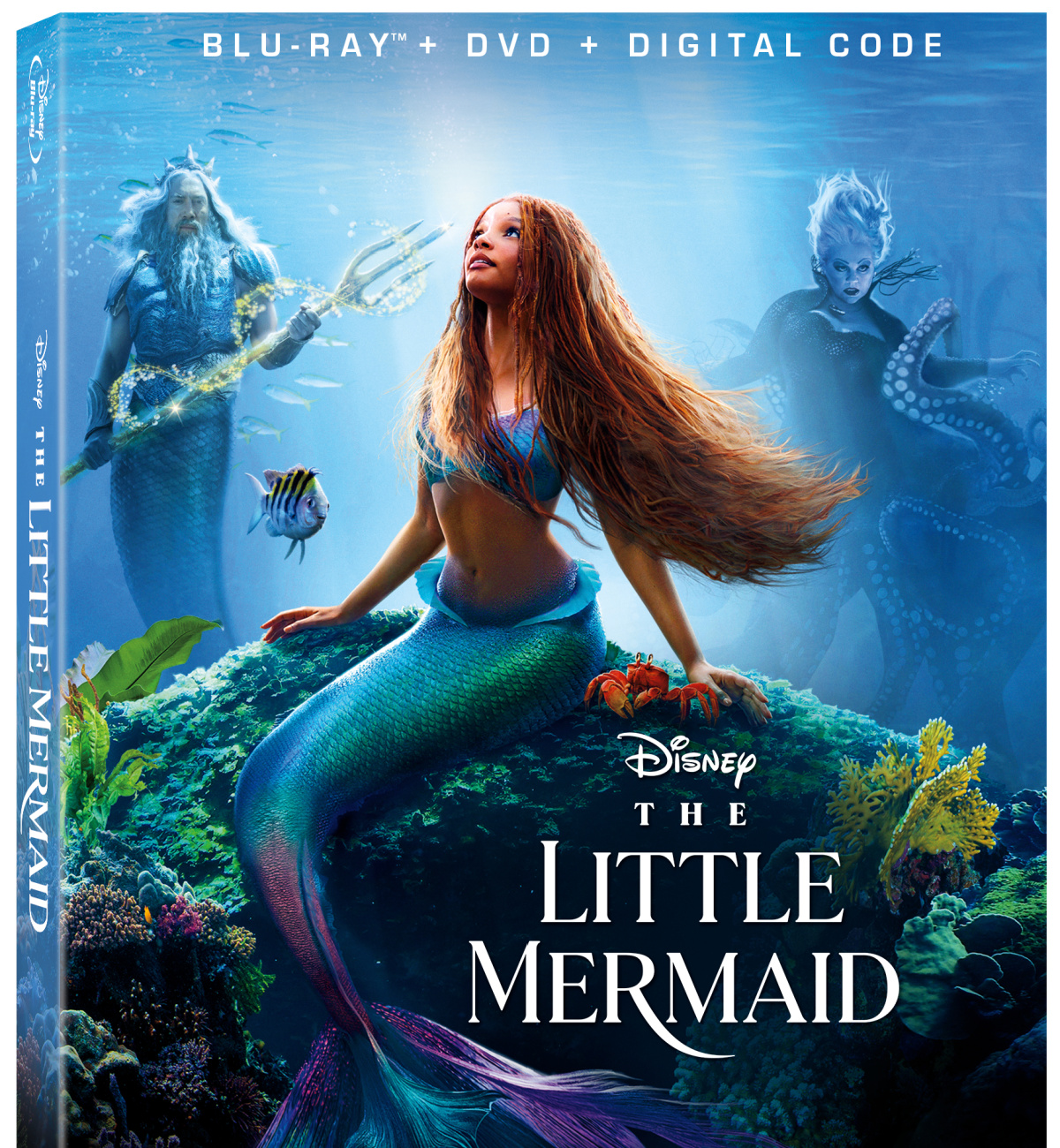 'The Little Mermaid' is available on Digital now, and will be available on 4K, Blu-ray and DVD September 19th.