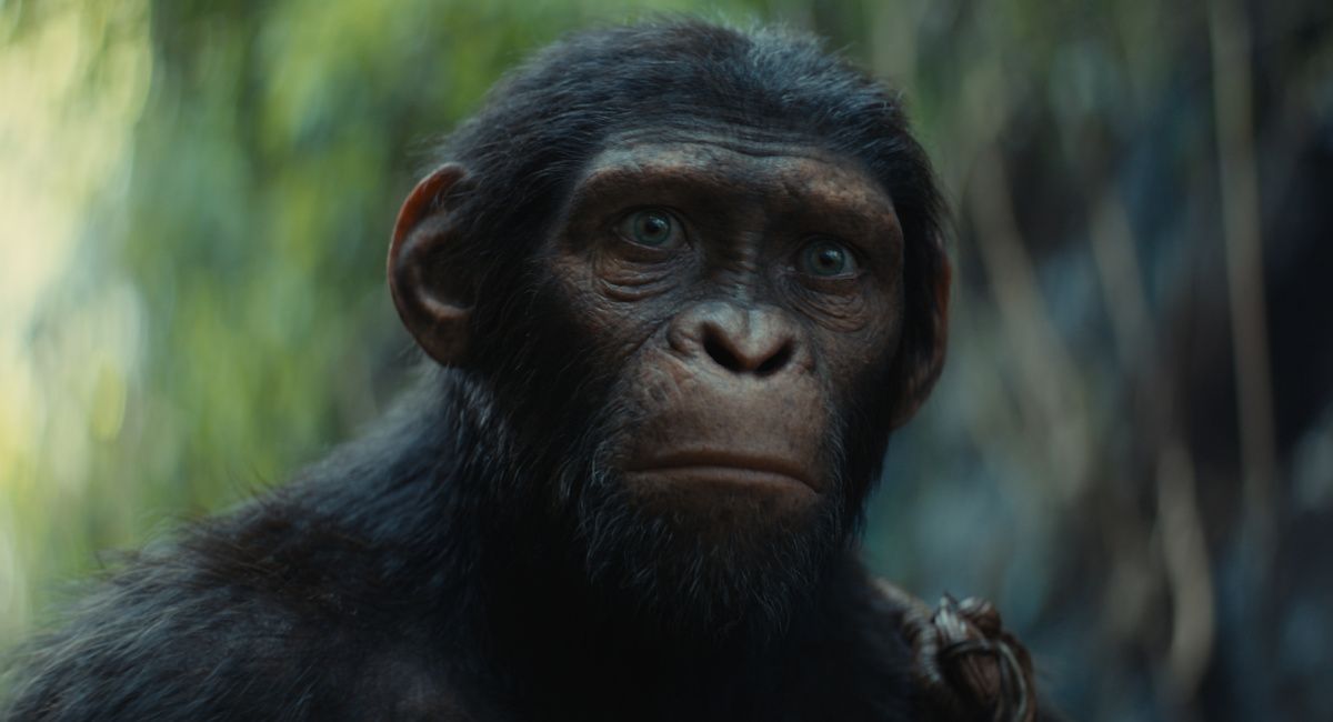 Noa (voiced by Owen Teague) in 20th Century Studios' 'Kingdom Of The Planet Of The Apes.'