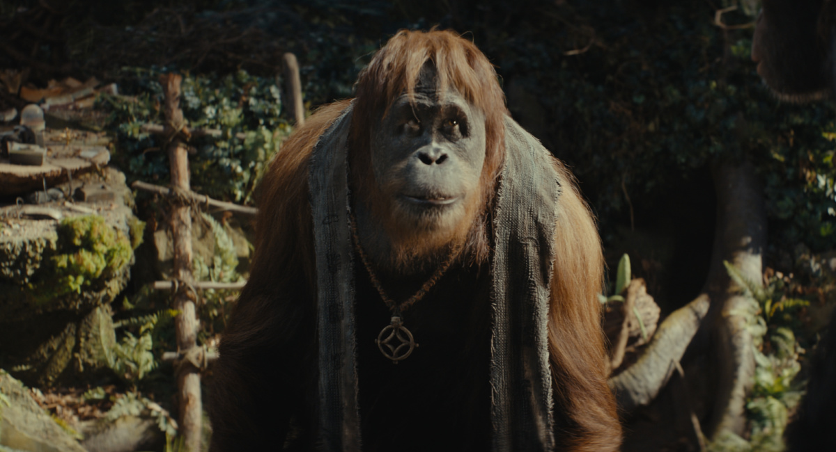 Raka (voiced by Peter Macon) in 20th Century Studios' 'Kingdom Of The Planet Of The Apes.'