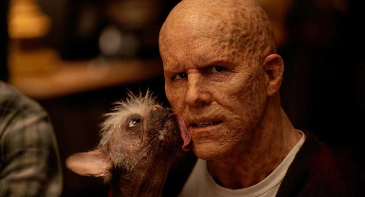 ‘Deadpool 3’ Shares a New Dogpool Image
