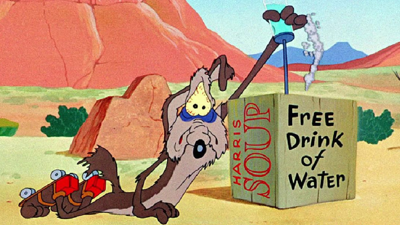 Wile E. Coyote. Photo: Warner Bros.
