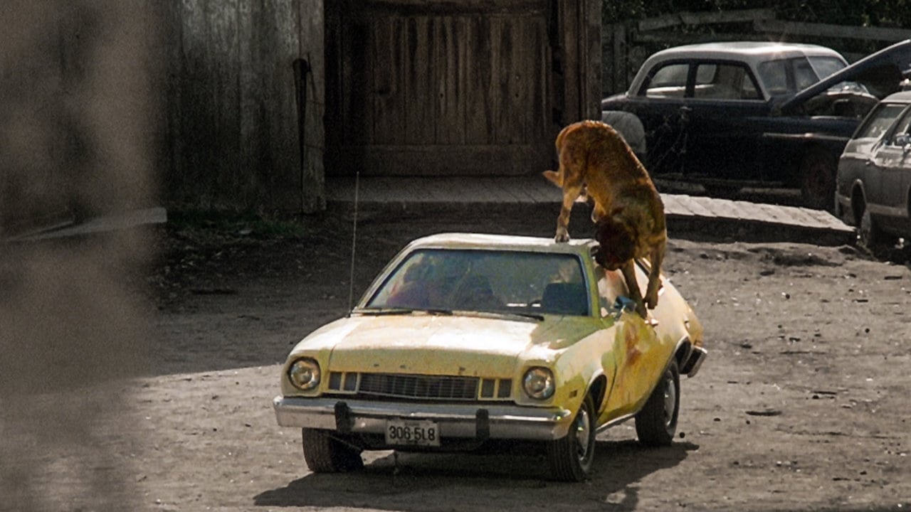 A scene from 'Cujo'. Photo: Warner Bros.