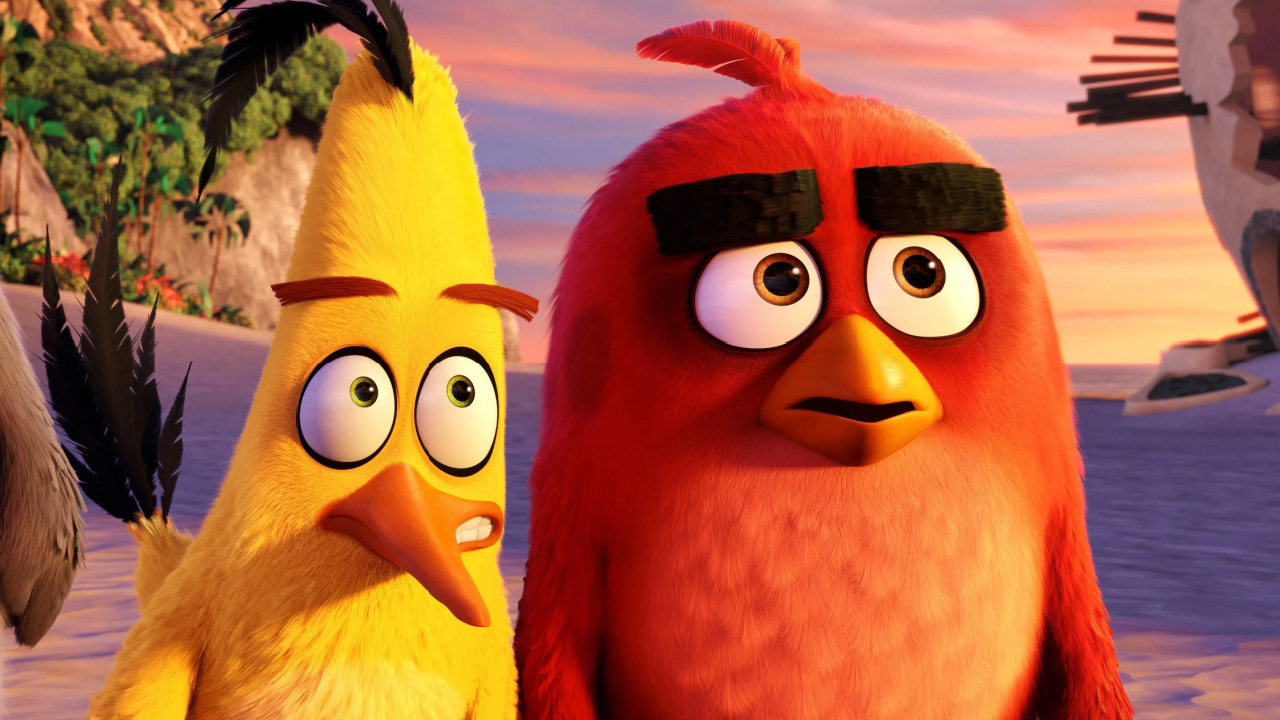 2016's 'The Angry Birds Movie'. Photo: Sony Pictures Releasing.