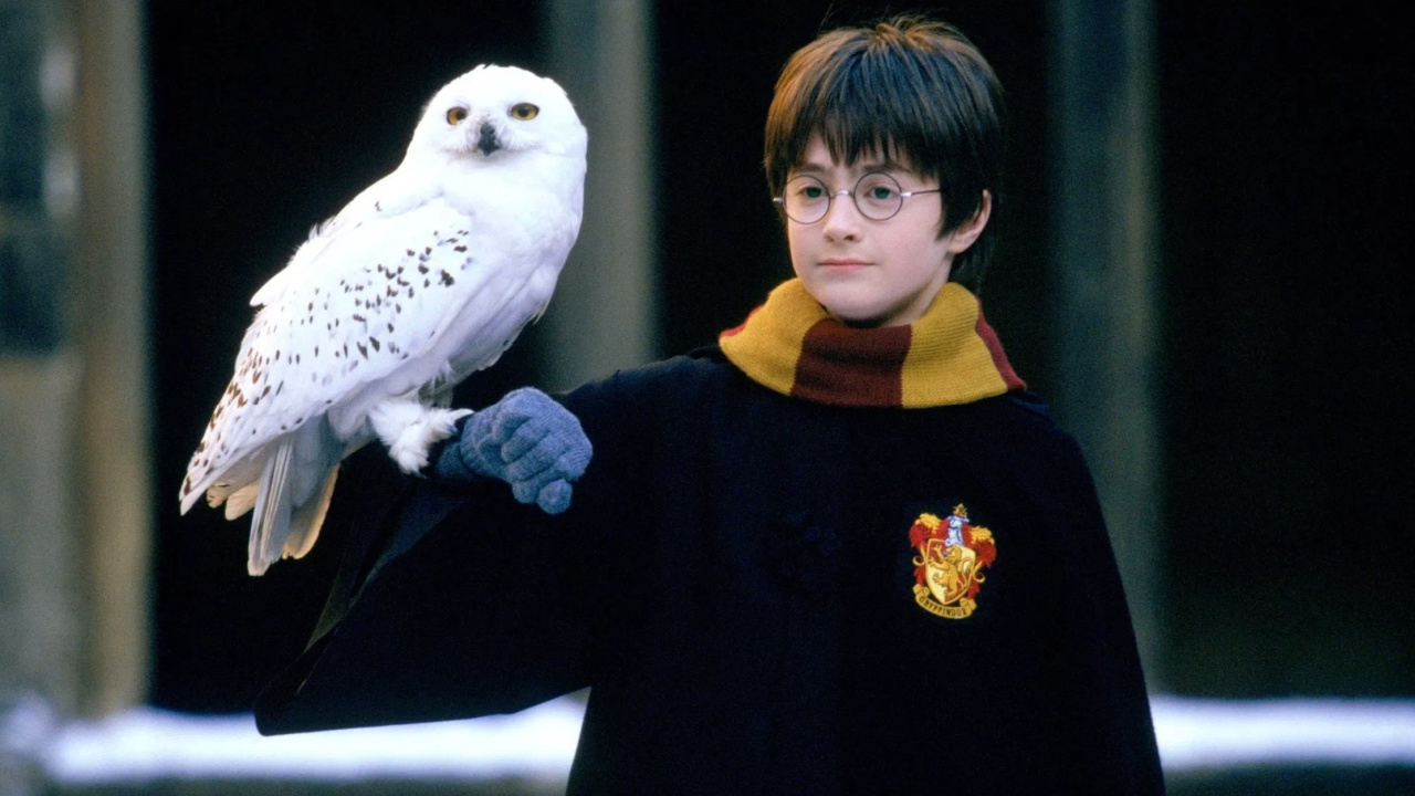 Daniel Radcliffe as Harry Potter in 'Harry Potter and the Philosopher's Stone'. Photo: Warner Bros. Pictures.