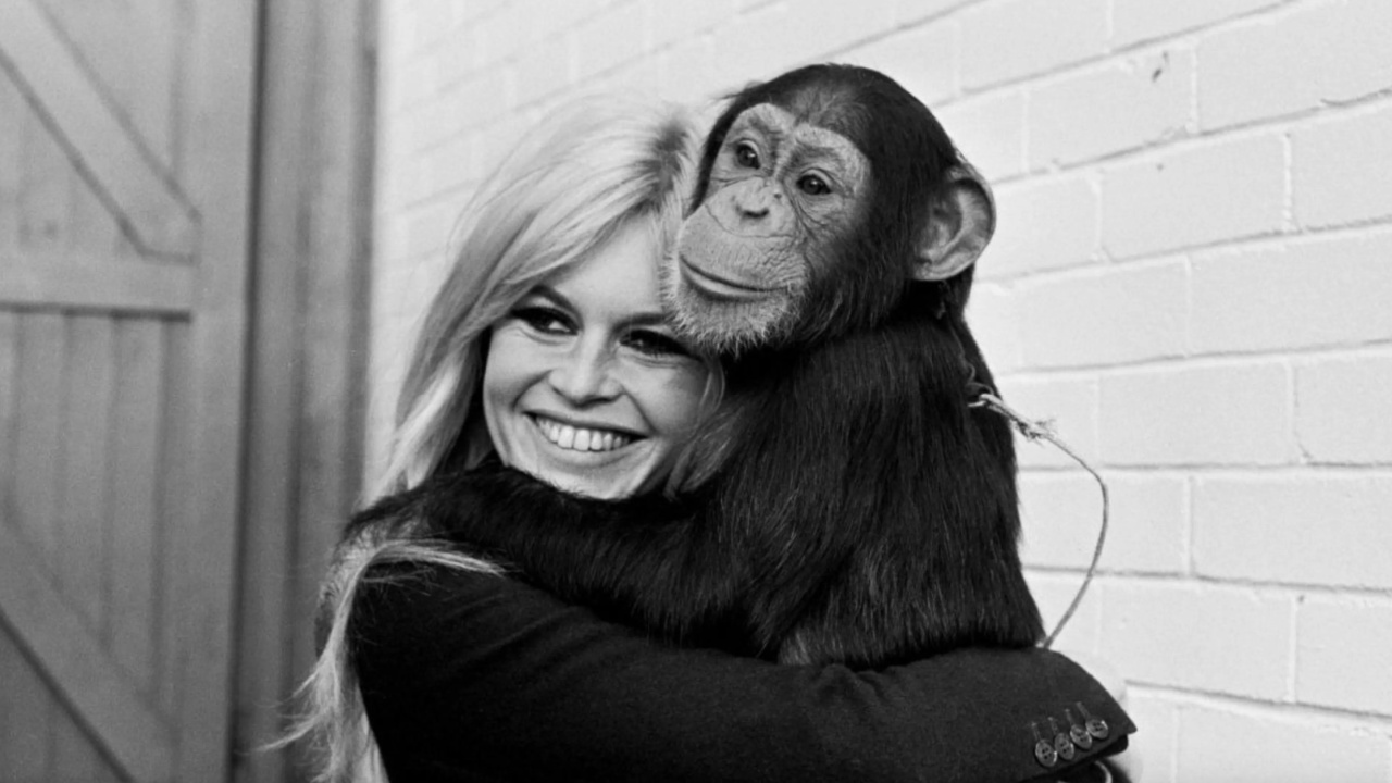 Brigitte Bardot in the documentary 'Bardot'. Photo: RTL.