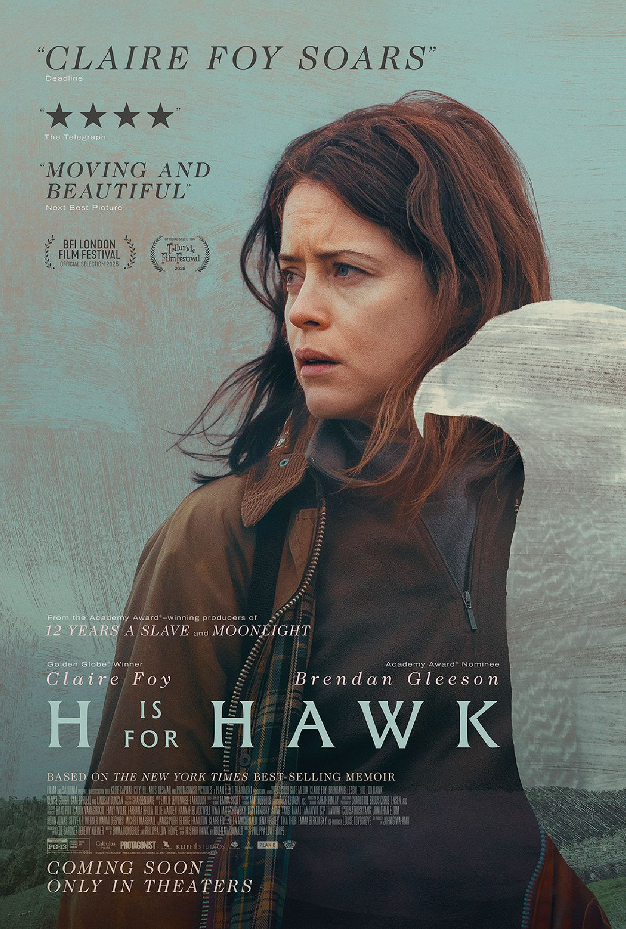 'H Is for Hawk' opens in theaters on January 23rd.