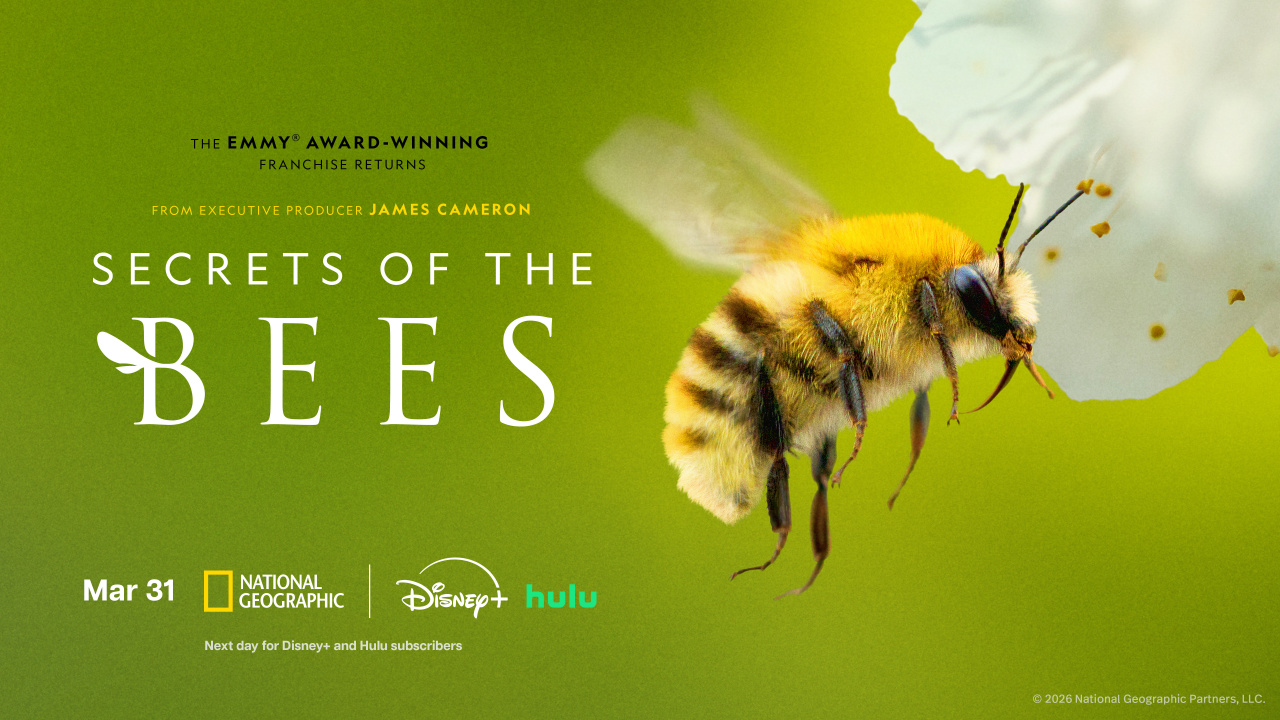 'Secrets of the Bees' premieres on Disney+ and Hulu April 1st.
